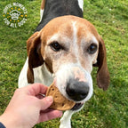 Blue Dog Bakery More Crunch Large Assorted Flavors, Dog Biscuits, Healthy Treats, All Natural, Bacon, Chicken, Cheese, Peanut, 43.2 oz (Pack of 1) - Image 11