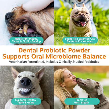 Veterinarian formulated dog dental probiotic supplement close up