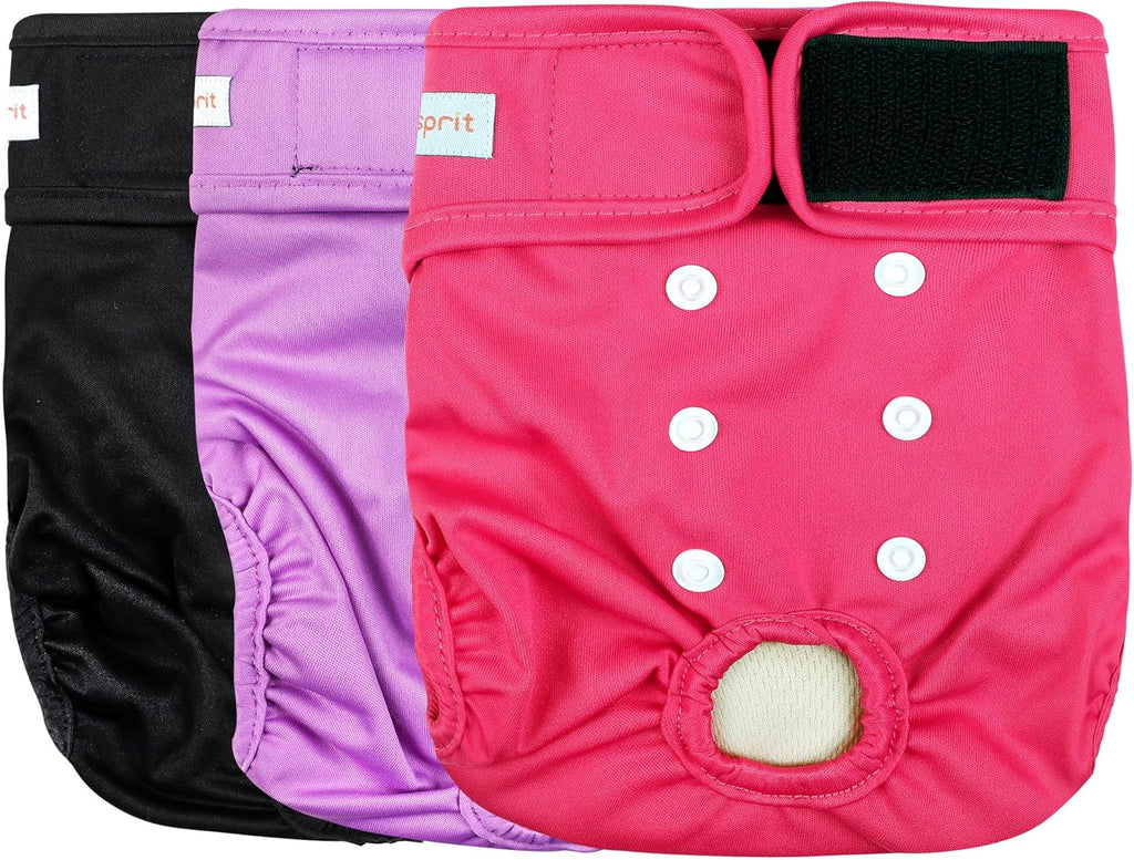 Langsprit medium female dog panties showing secure leg fit adjustment.