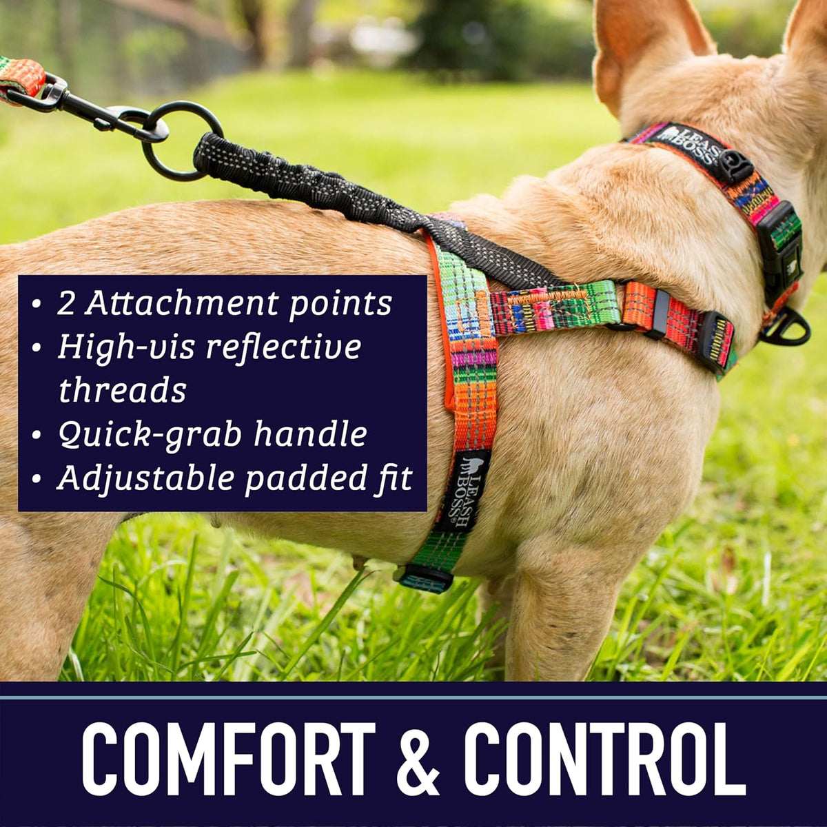 Pet wearing Leash Boss reflective harness in space print