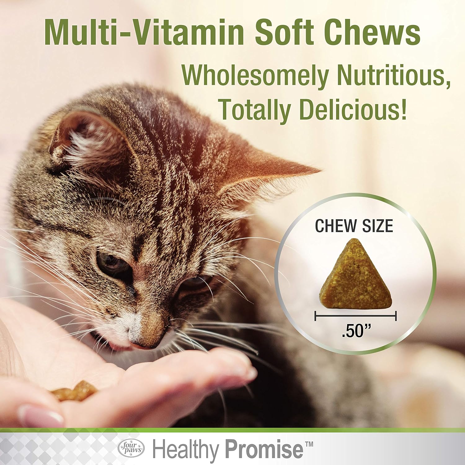 Four Paws cat multivitamin soft chew texture close up