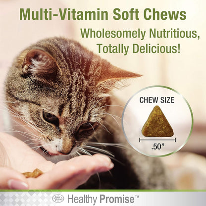 Four Paws cat multivitamin soft chew texture close up