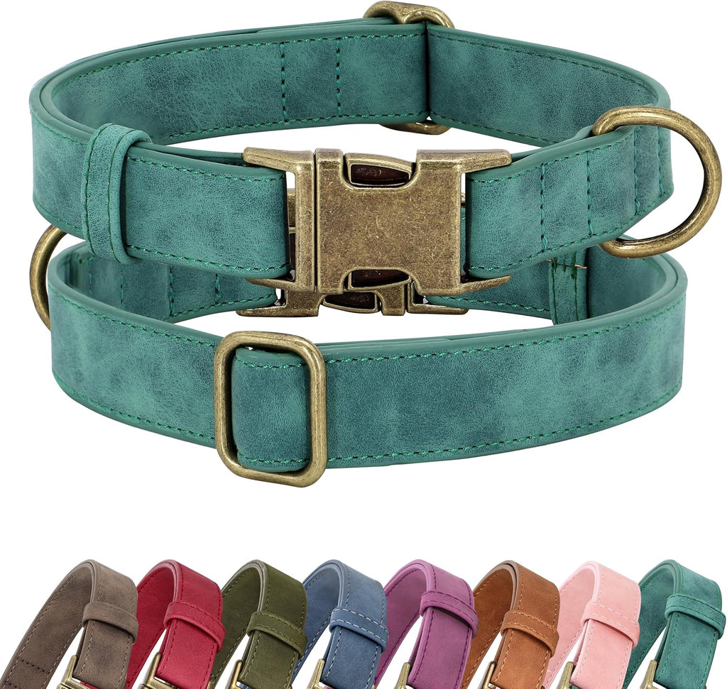 Didog dog collar packaging and product display