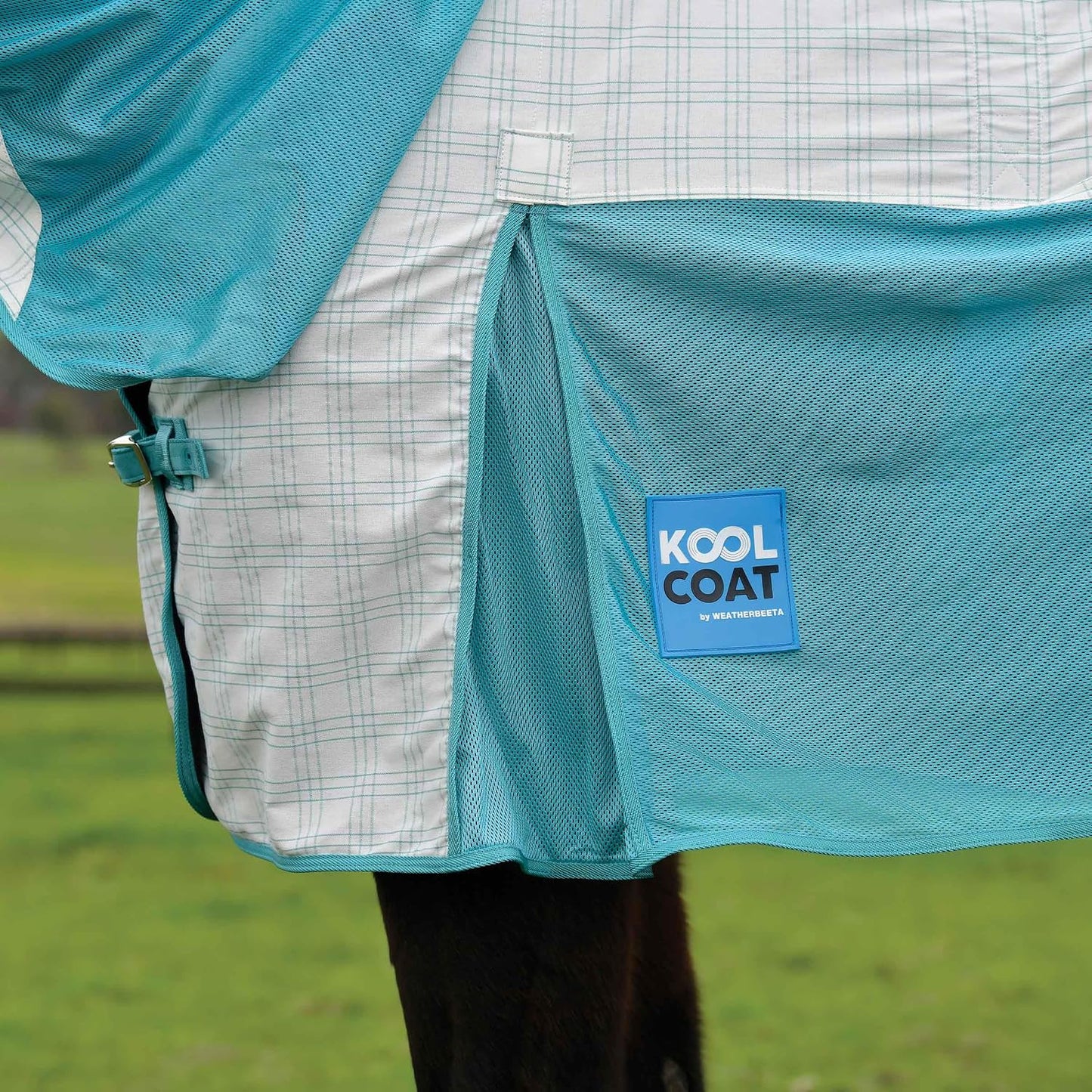Kool Coat UV protective horse sheet showing the generous tail flap and rear web leg straps