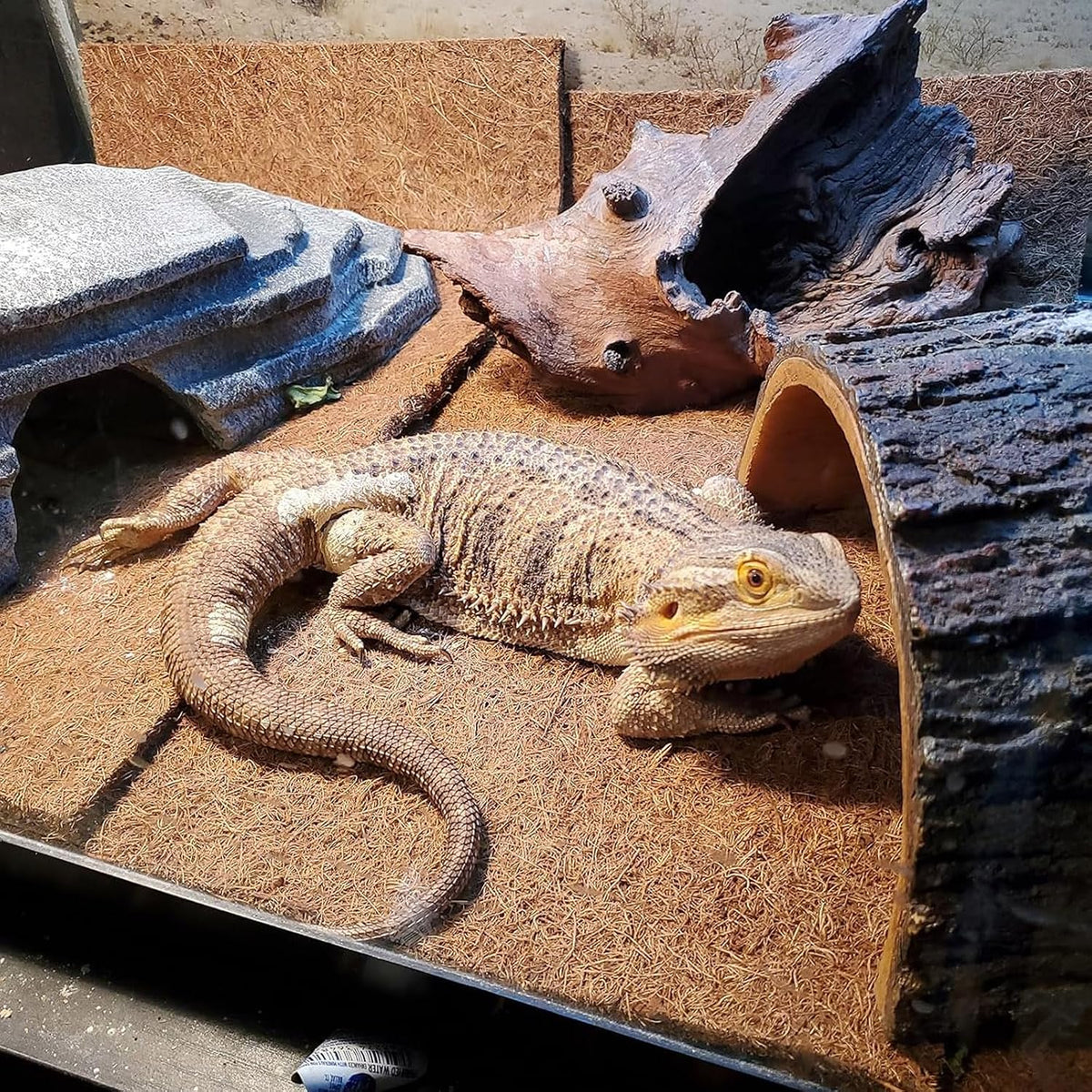 PINVNBY four sheet package of natural coconut fiber reptile substrate