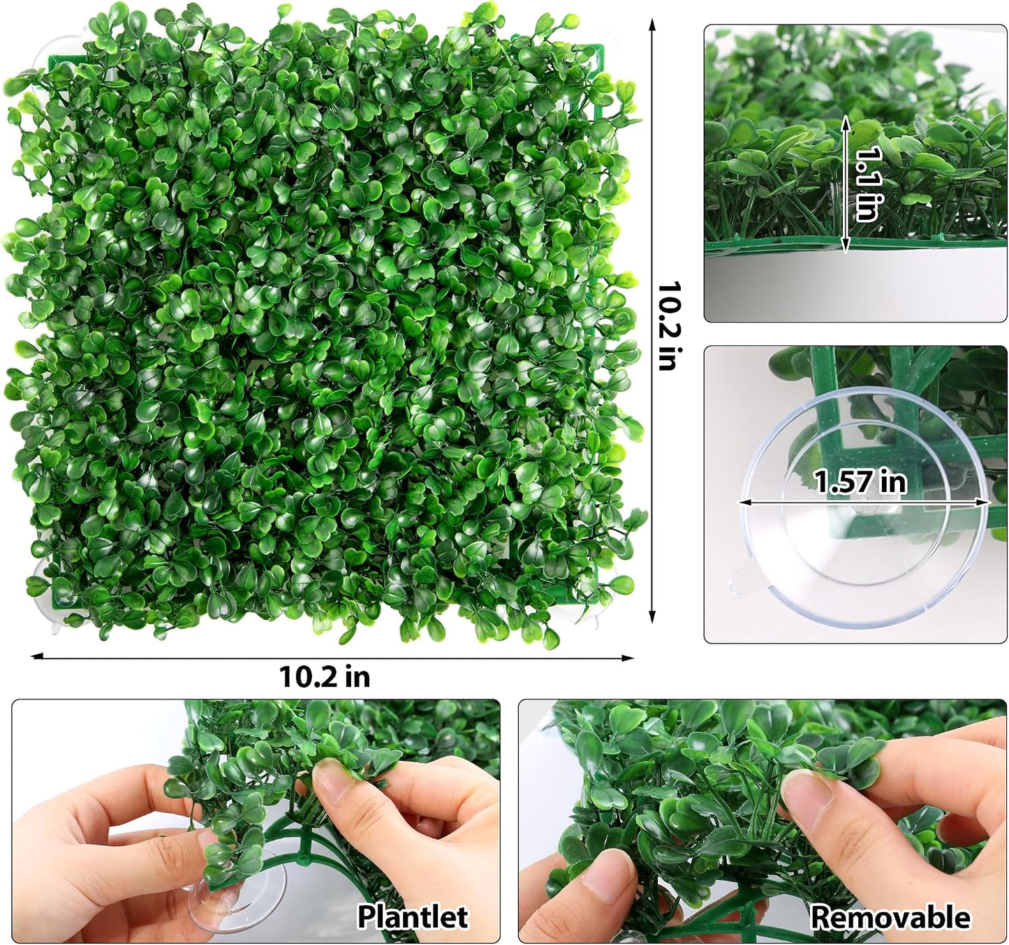 Hermit crab climbing on green faux grass mat with suction cups