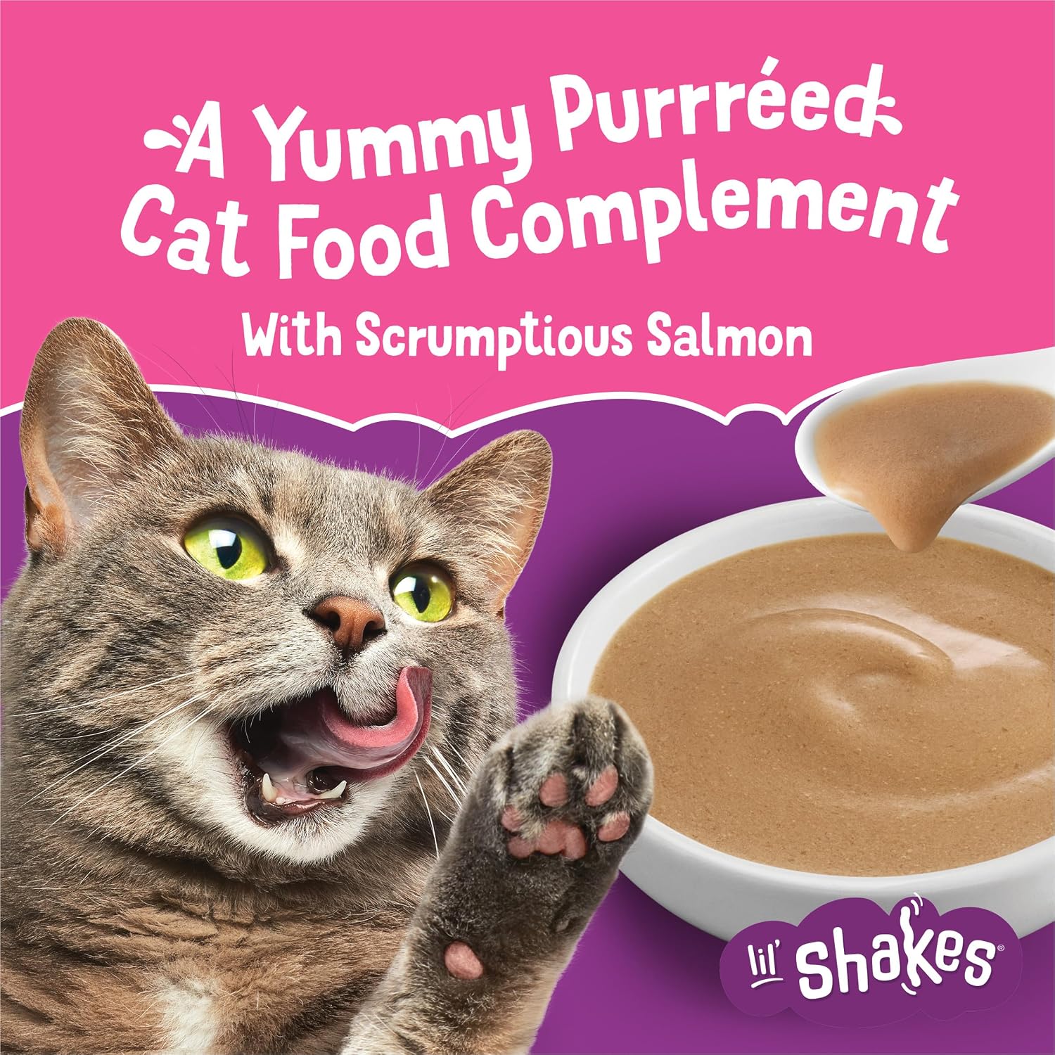 Salmon and coconut milk cat food complement pouring over kibble