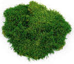 Galapagos 8 quart natural green sheet moss texture