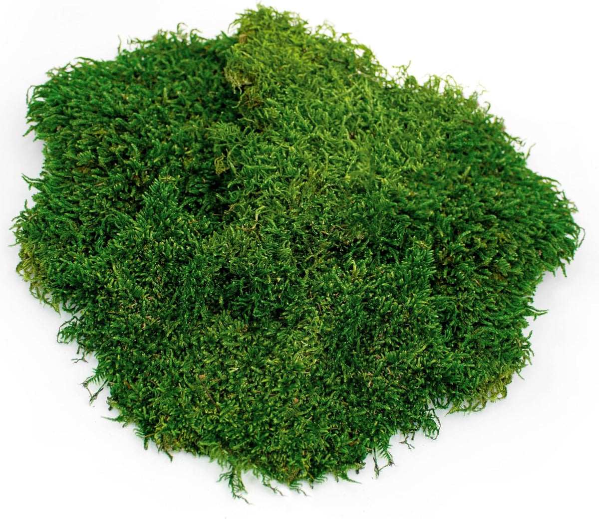Galapagos 8 quart natural green sheet moss texture