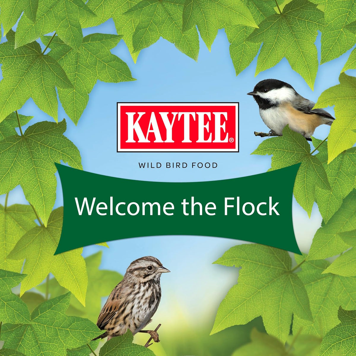 Kaytee Wild Bird Food Basic Seed Blend, 5 lb - Image 10