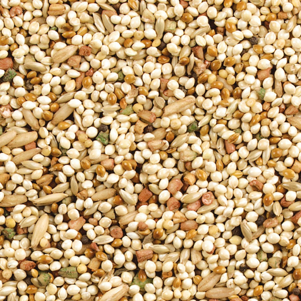 Wild Harvest Daily Blend resealable 4.5 kilogram bag