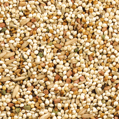 Orange flavour bird seed blend 10 pounds bag