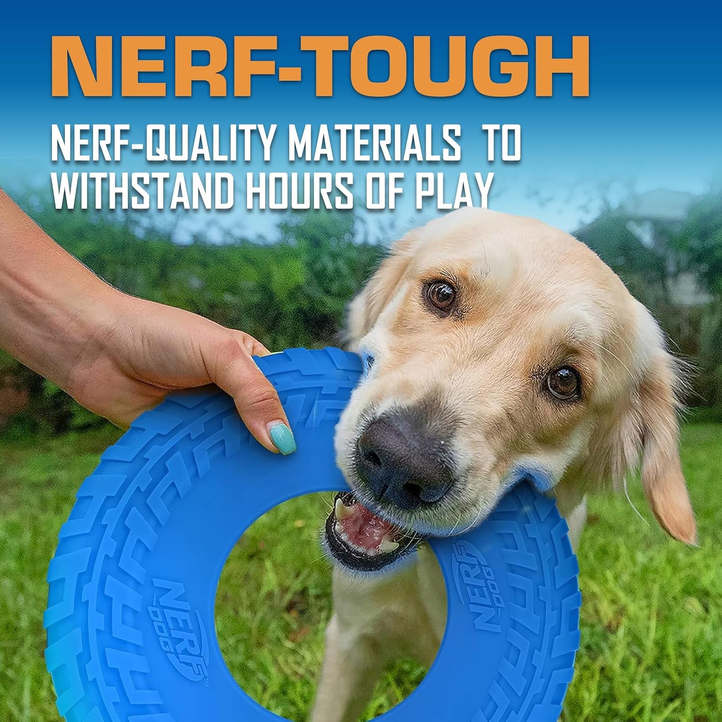 Durable Nerf Dog rubber disc floating in water