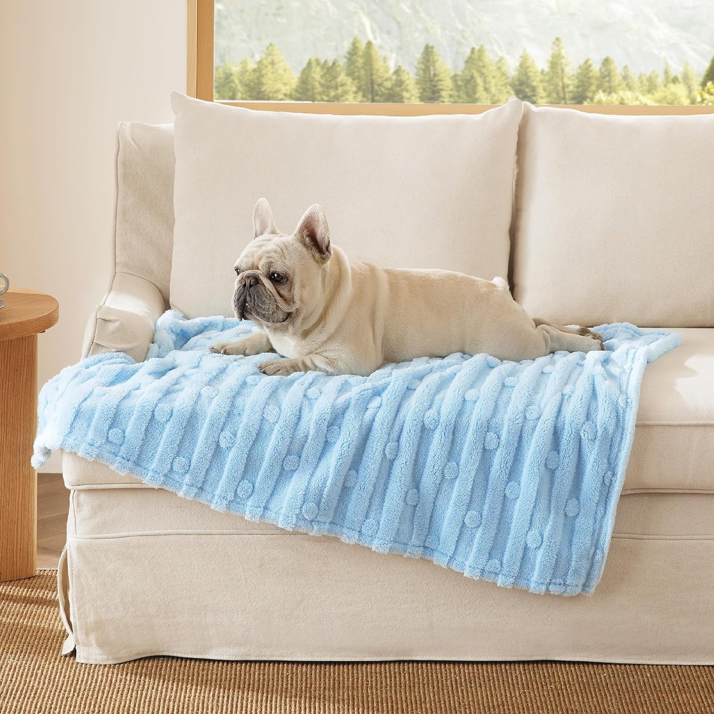 Bedsure Dog Blankets for Small Dogs Washable - Fluffy Fuzzy Cat Puppy Blanket with Premium 300GSM Coral Fleece Soft for Pet Kitten Doggy, White, 25x35IN - Image 12