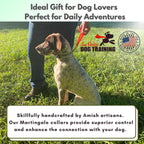 High quality biothane martingale collar showcasing its waterproof and easy to clean material structure.