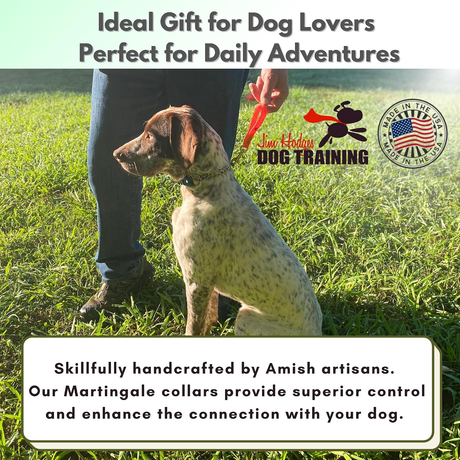 High quality biothane martingale collar showcasing its waterproof and easy to clean material structure.