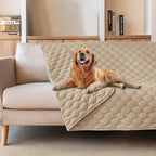 Gogobunny waterproof pet blanket front view on a modern living room sofa