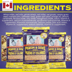 Hagen Staple VME seed mix in a glass bowl for bird feeding