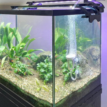 Boxtech quiet aquarium airstone kit installed at the bottom of a pond.
