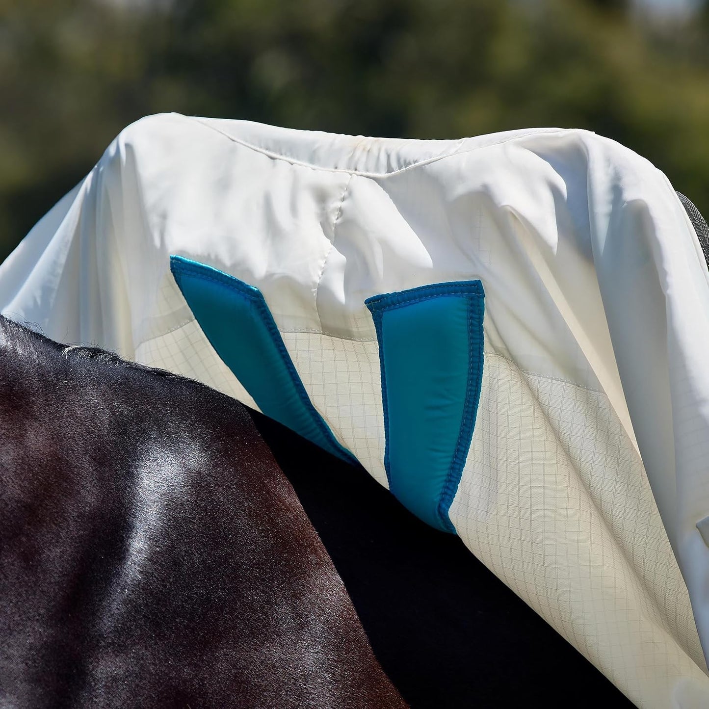 WeatherBeeta Sweet Itch Shield three piece tail flap protection system