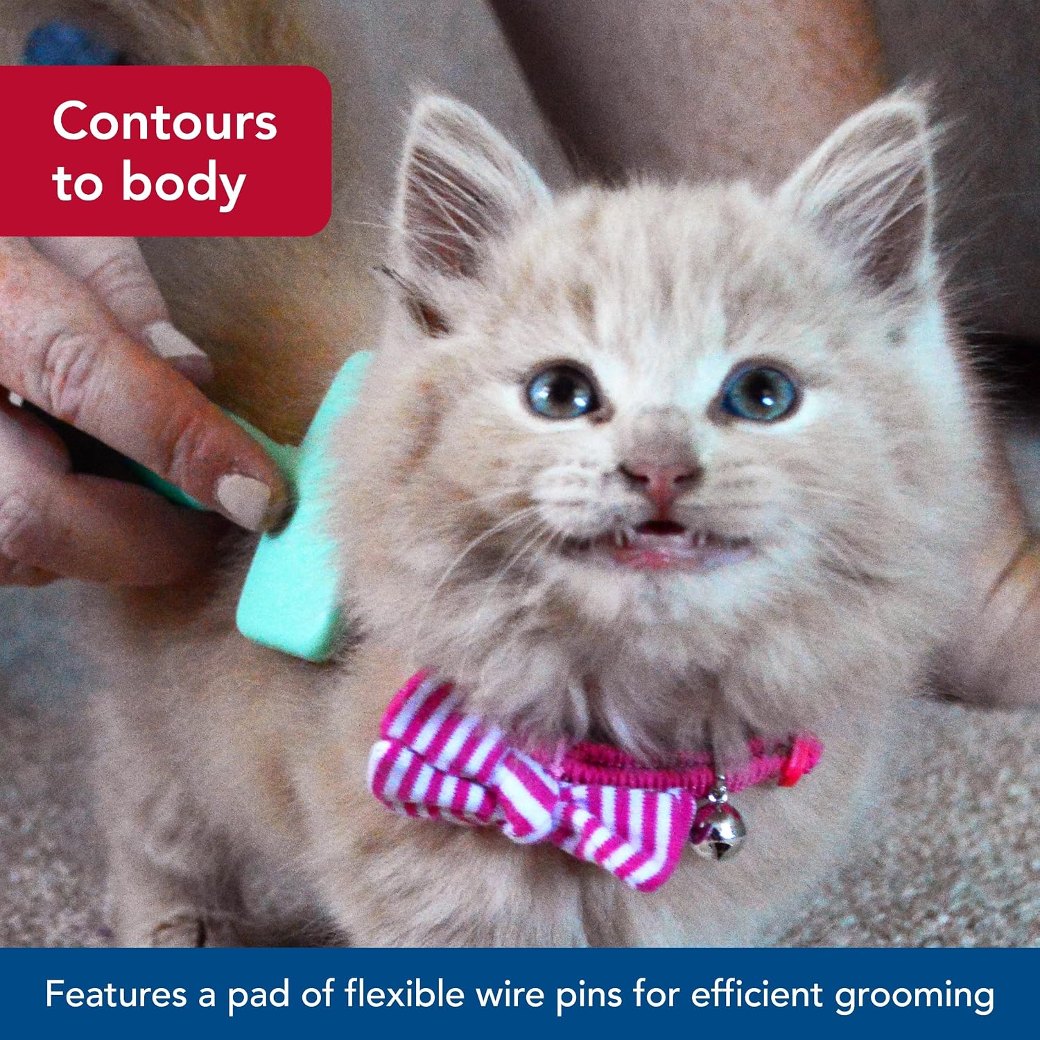 Close up view of the flexible wire bristles with protective plastic tips on the kitten brush