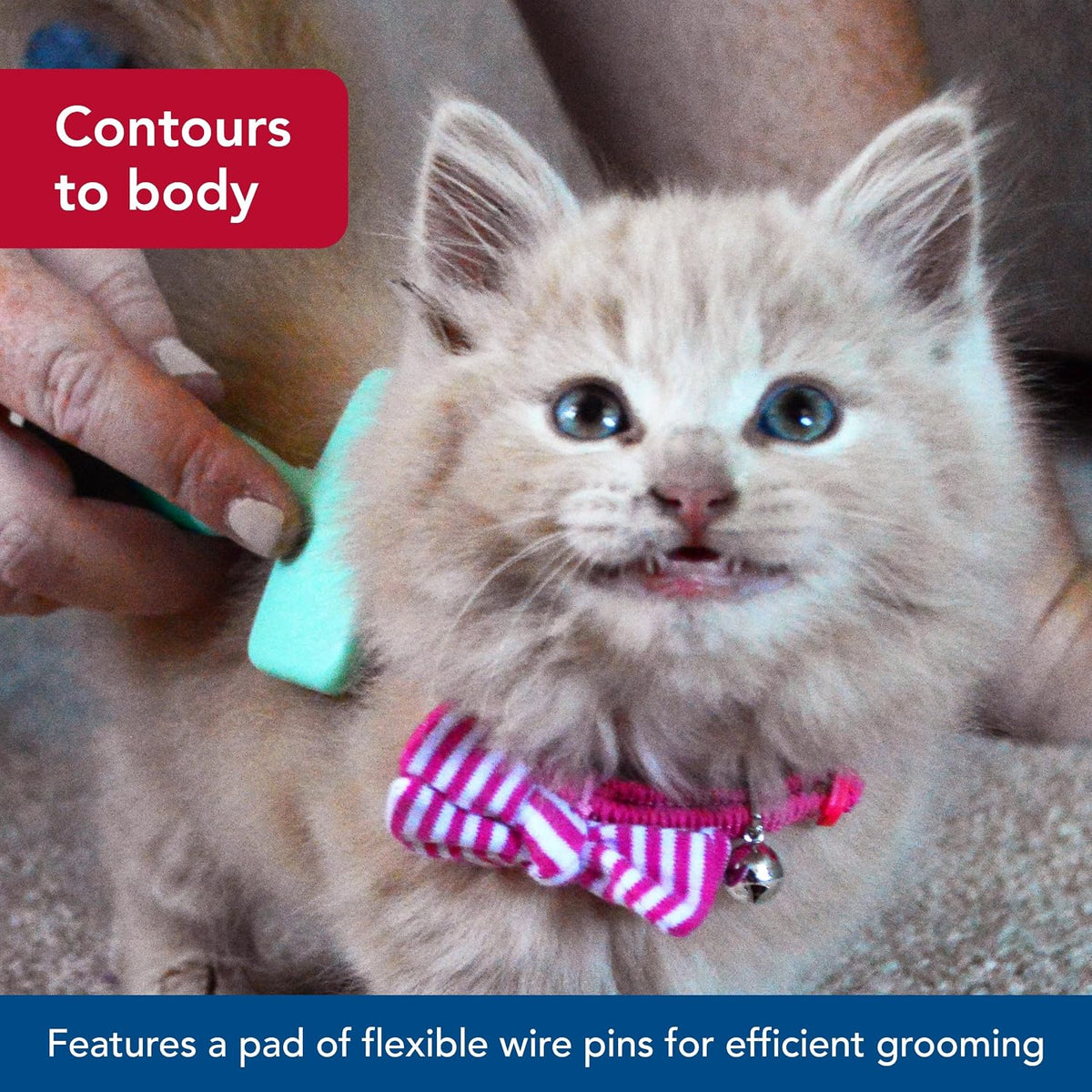Coastal Pet kitten grooming brush angled view
