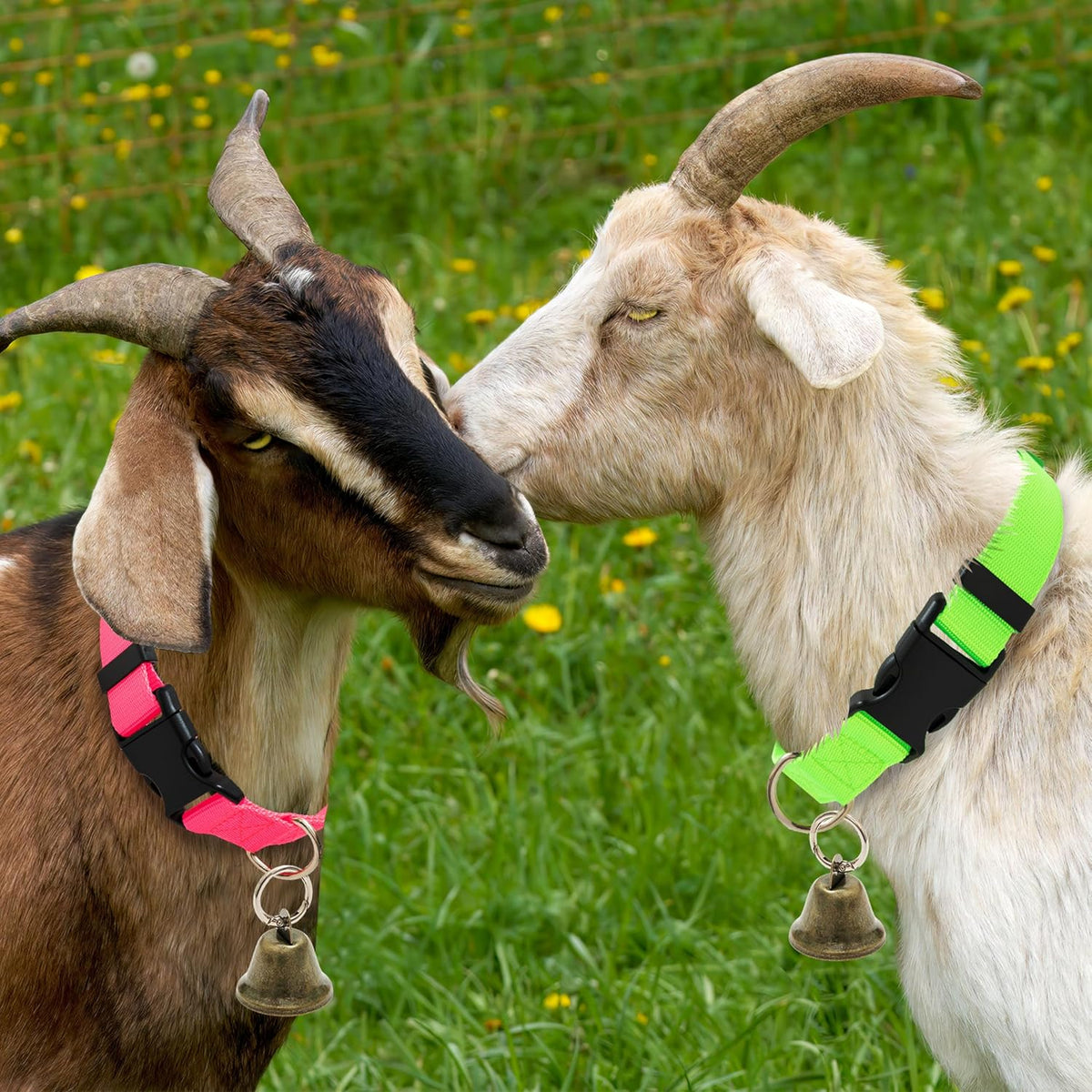 Adjustable 13.8 to 20.9 inch aluzaemo goat collar with clear chime bronze bell for small farm sheep.