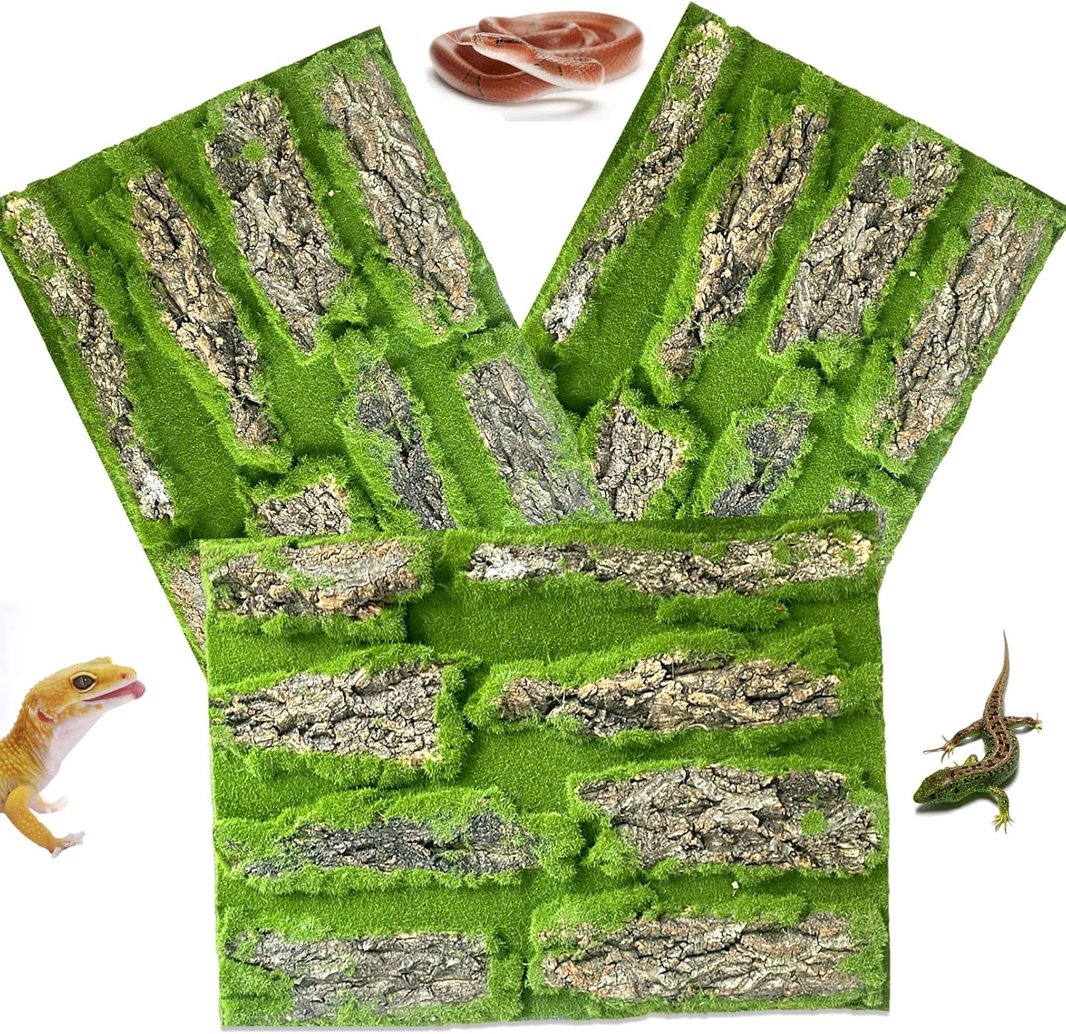 Safe and durable reptile enclosure background panel being measured for installation