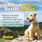 NATOO sustainable pet foods salmon and pumpkin broth mix in open case arrangement.