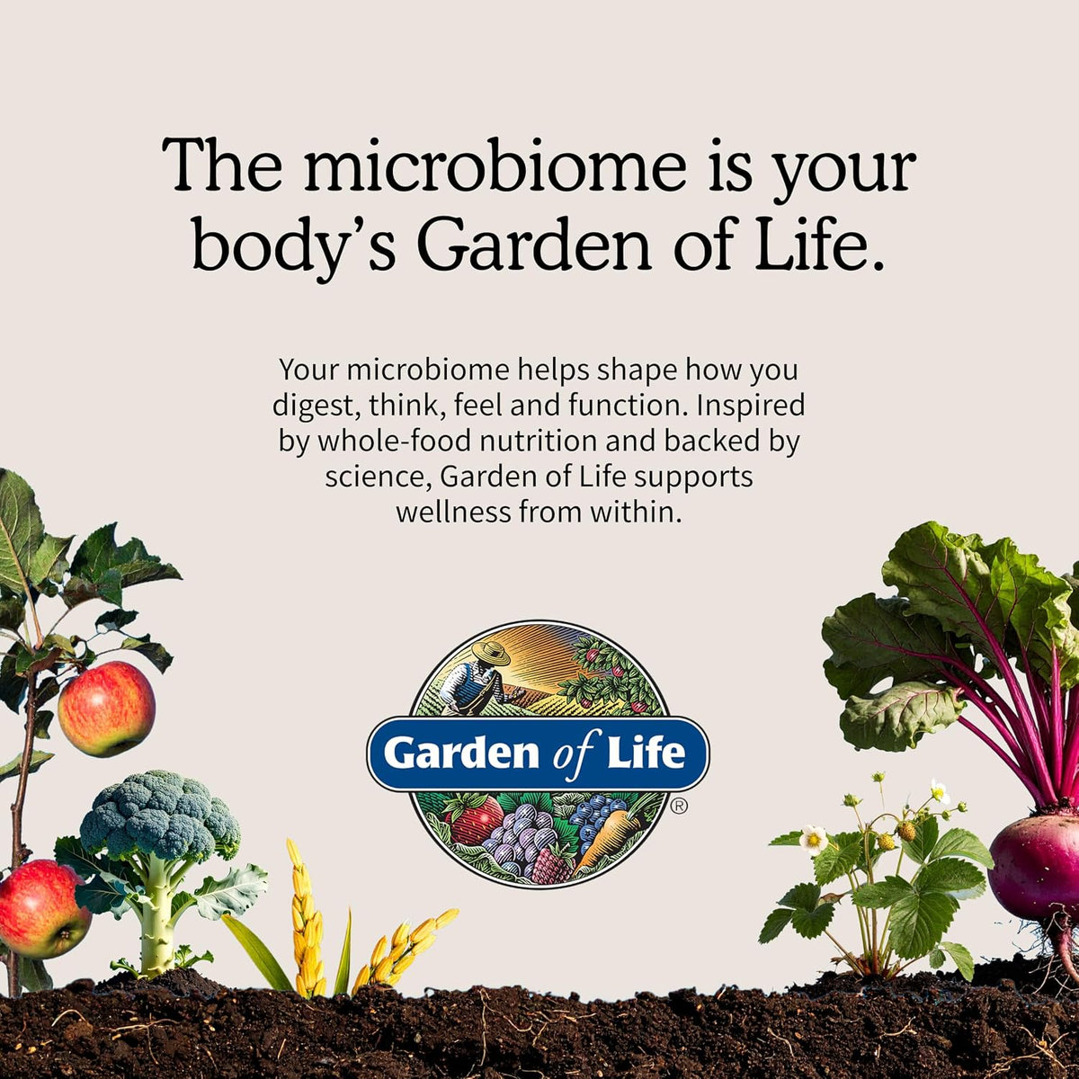 Garden of Life Dr. Formulated Once Daily Women's Probiotics, 50B CFU, 30ct - Image 7