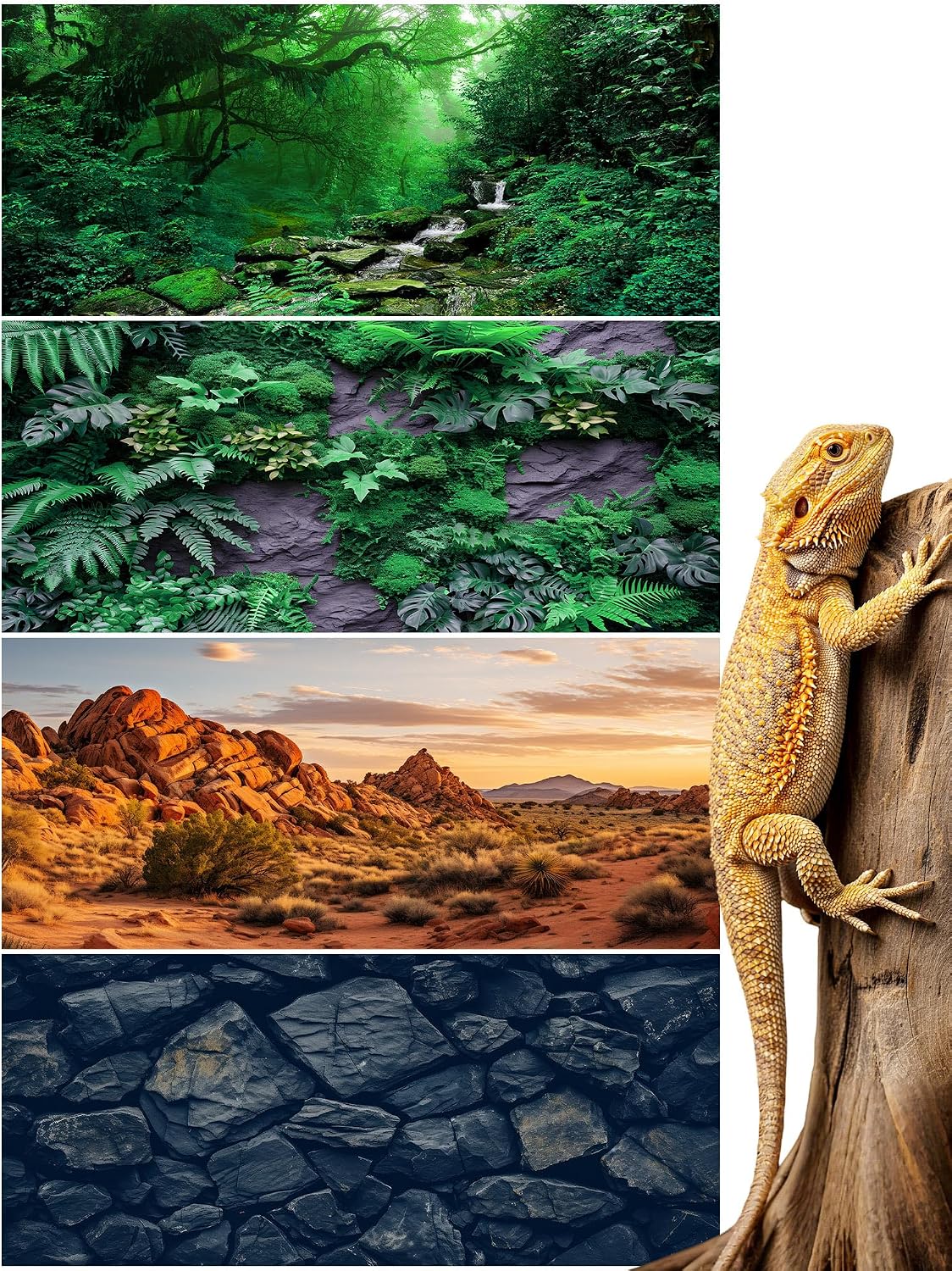 Breling four piece reptile habitat background front view showcasing the desert sunset scene.