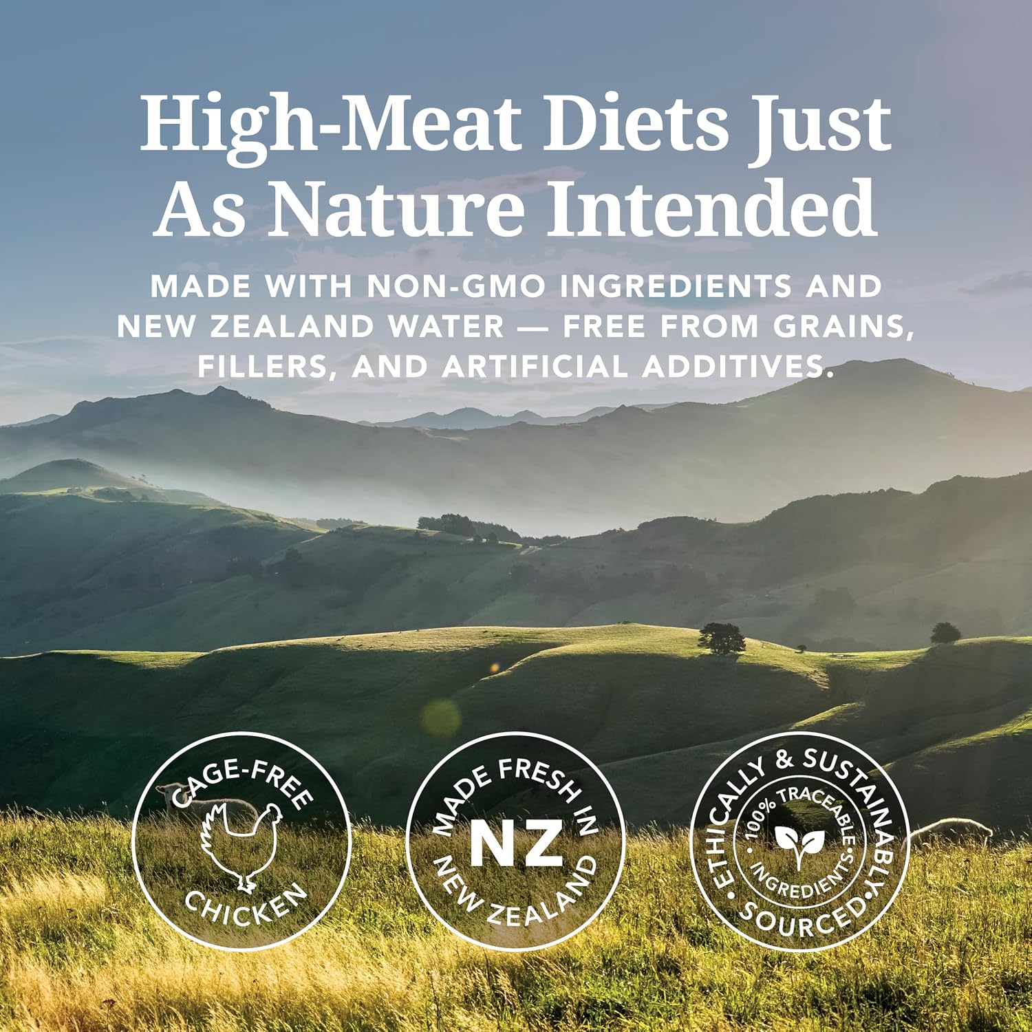 Feline Natural New Zealand pate cat food twelve pack box