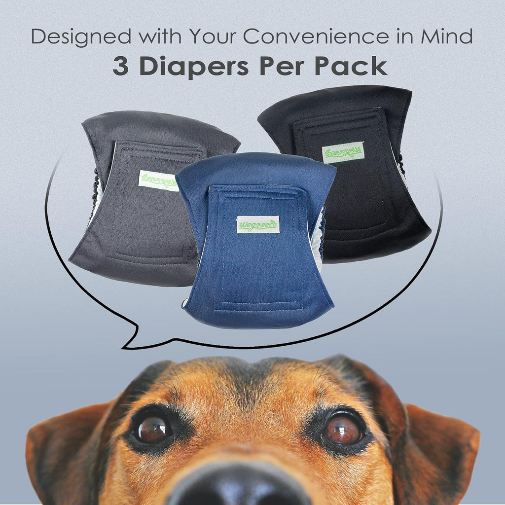 Wegreeco reusable male dog diaper wrap close up on absorbent pad