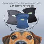 Wegreeco reusable male dog diaper wrap close up on absorbent pad