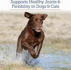 Label details of Rx Vitamins MegaFlex capsules for dogs and cats