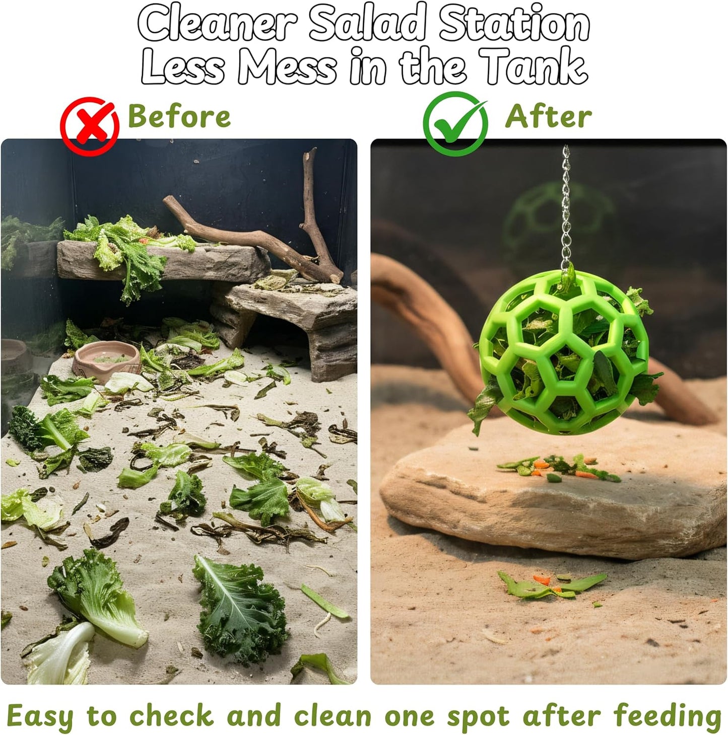 Reptile greens training kit packaged view highlighting the authentic Homedy Crafts branding and product pieces