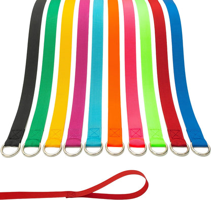 Aticnech slip lead dog leash ten pieces pack front view showcase
