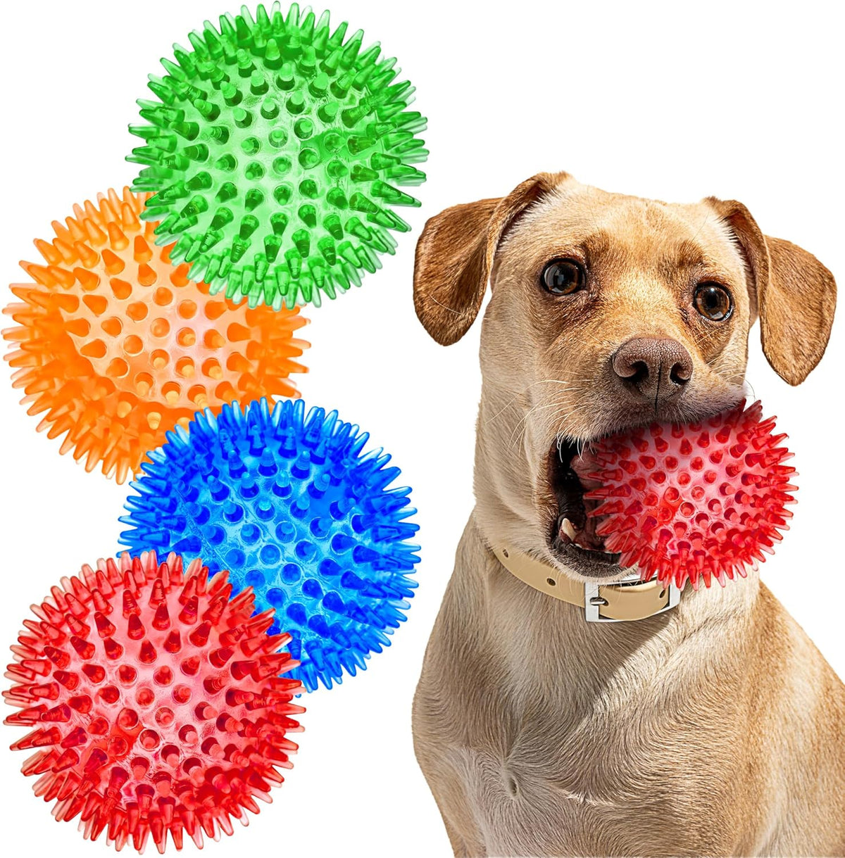 SHARLOVY Squeaky Balls for Pet Small Puppy, 6 Pack TPR Fetch Spike Balls for Dogs, Rubber 6 Pack Bright Colors Chew Teething Dog Toys, for Clean Teeth and Training, for Puppy Chew and Teething - Image 10