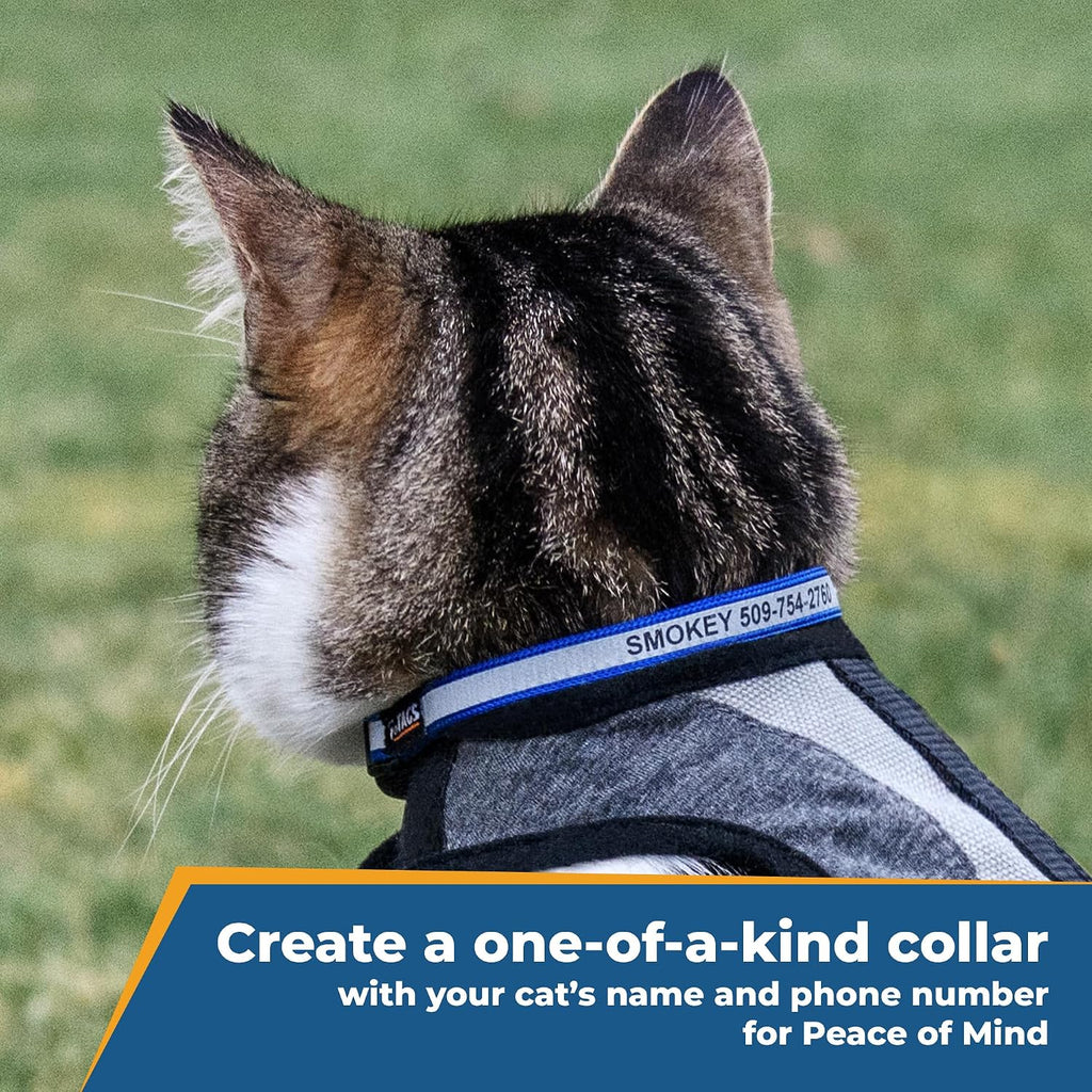GoTags custom engraved cat collar breakaway safety buckle mechanism detailed close up