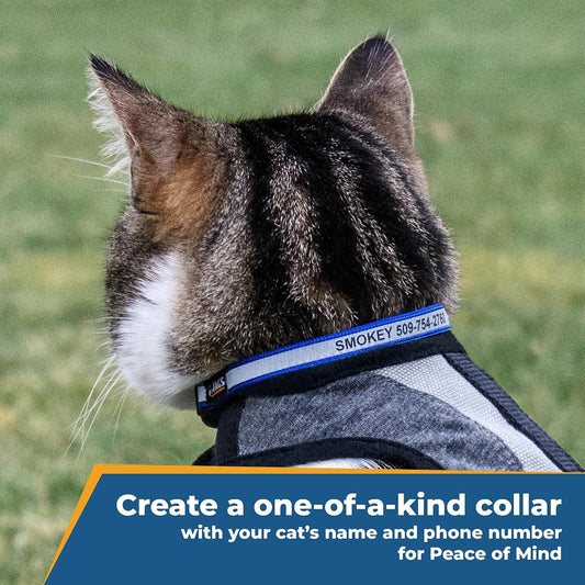 GoTags custom engraved cat collar breakaway safety buckle mechanism detailed close up