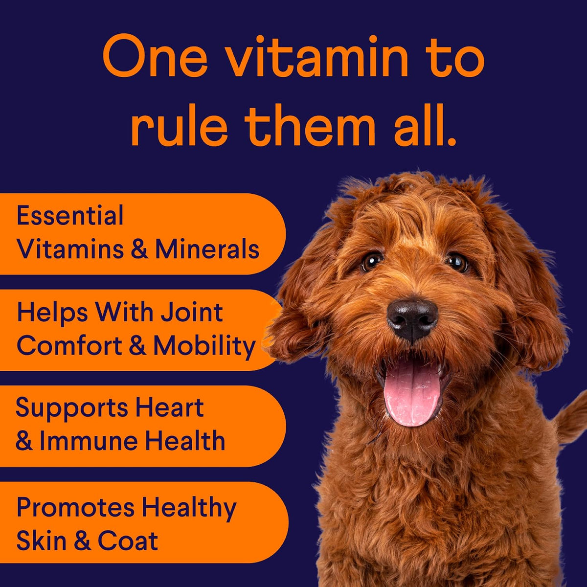 Premium dog multivitamin soft chews with probiotics and omega-3 for canine health.