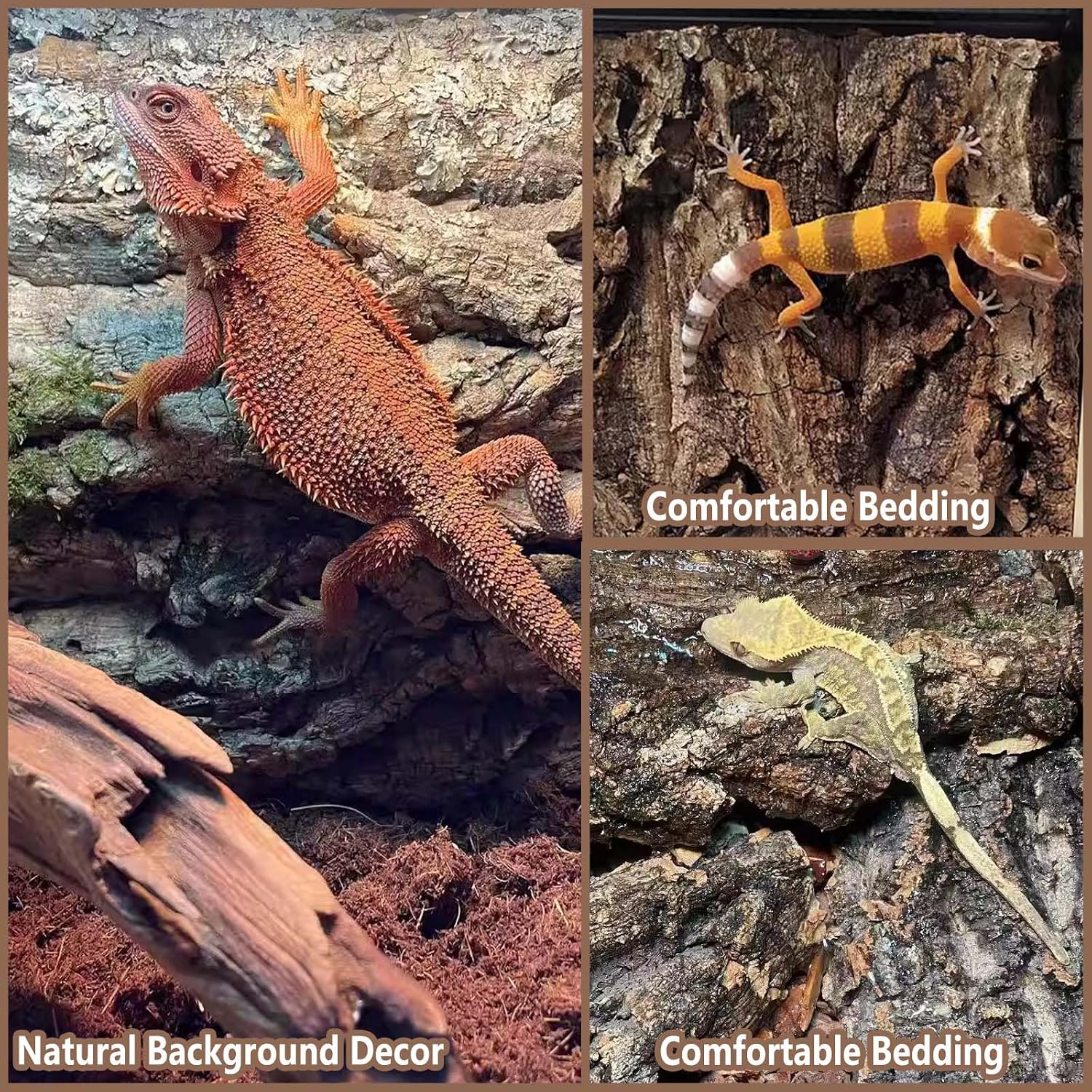 Two pieces of thickened reptile climbing wall habitat decor placed side by side.