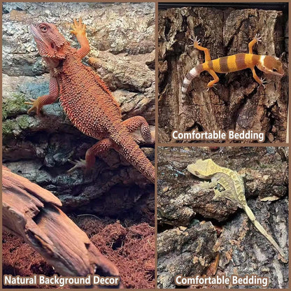 Two pieces of thickened reptile climbing wall habitat decor placed side by side.