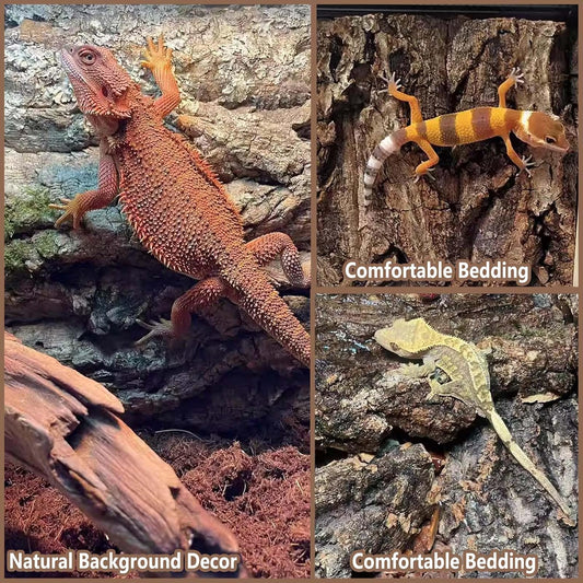 Two pieces of thickened reptile climbing wall habitat decor placed side by side.