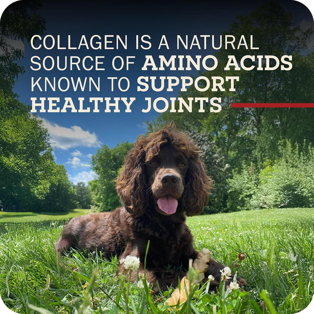 Grain free and digestible beef collagen treat for dogs