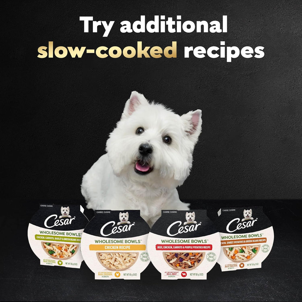 Multi pack box of Cesar wholesome bowls chicken carrots barley and green beans recipe.