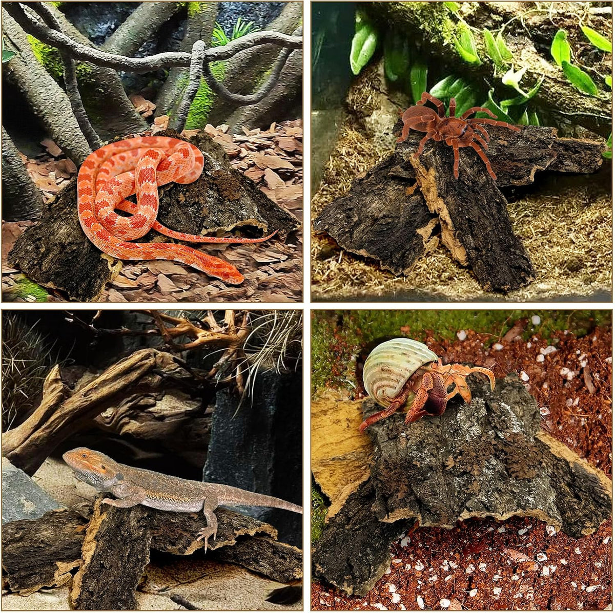 VCEPJH mold-resistant terrarium wood substrate for isopods and spiders.