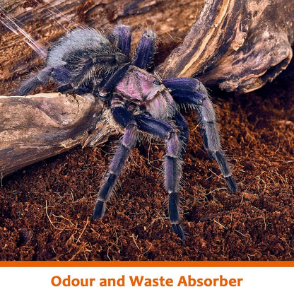 Riare organic pet substrate absorbing moisture and controlling tank odors