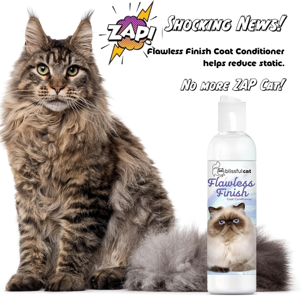 The Blissful Dog Flawless Finish Cat Conditioner lifestyle cat grooming shot