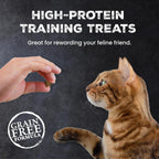 Blue Buffalo chicken flavor cat snacks container back label details